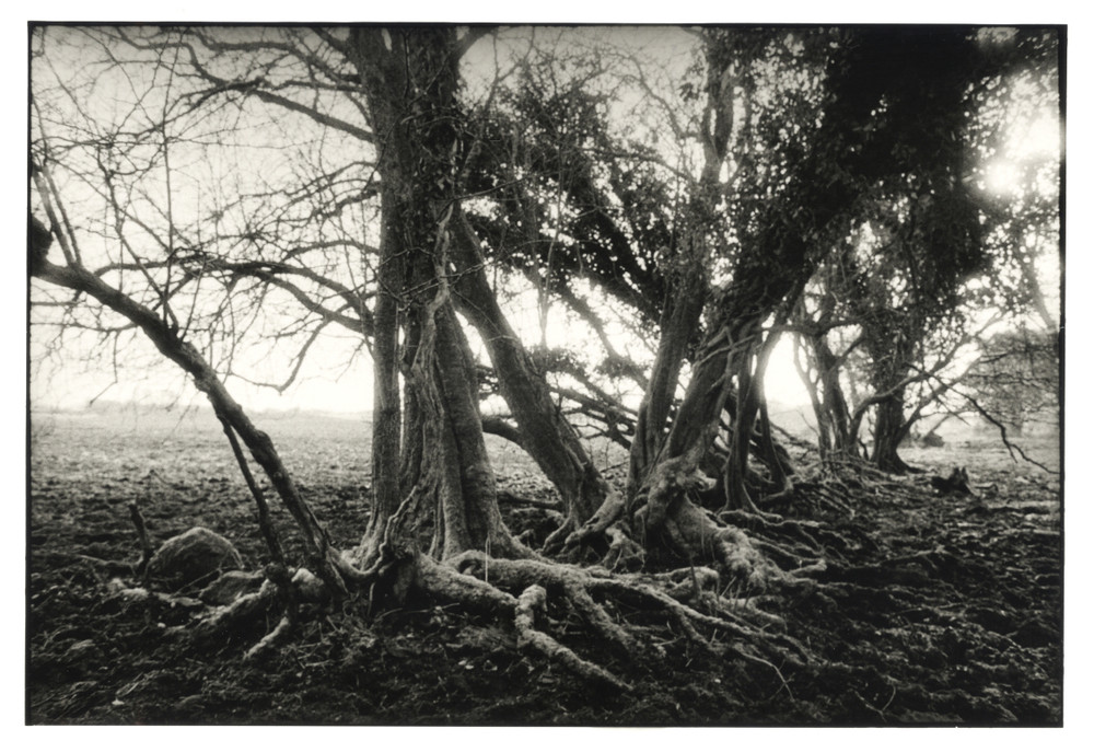 The Battle of Aughrim - A meditation on landscape, violence and identity. 