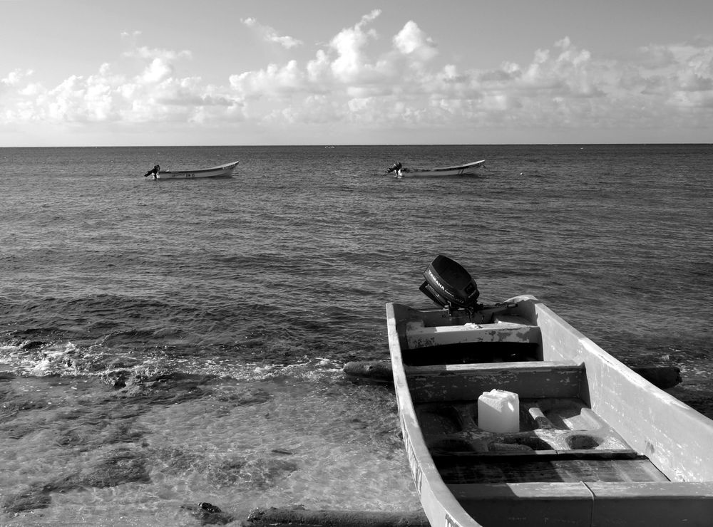 The sea