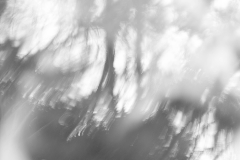 The Unseen