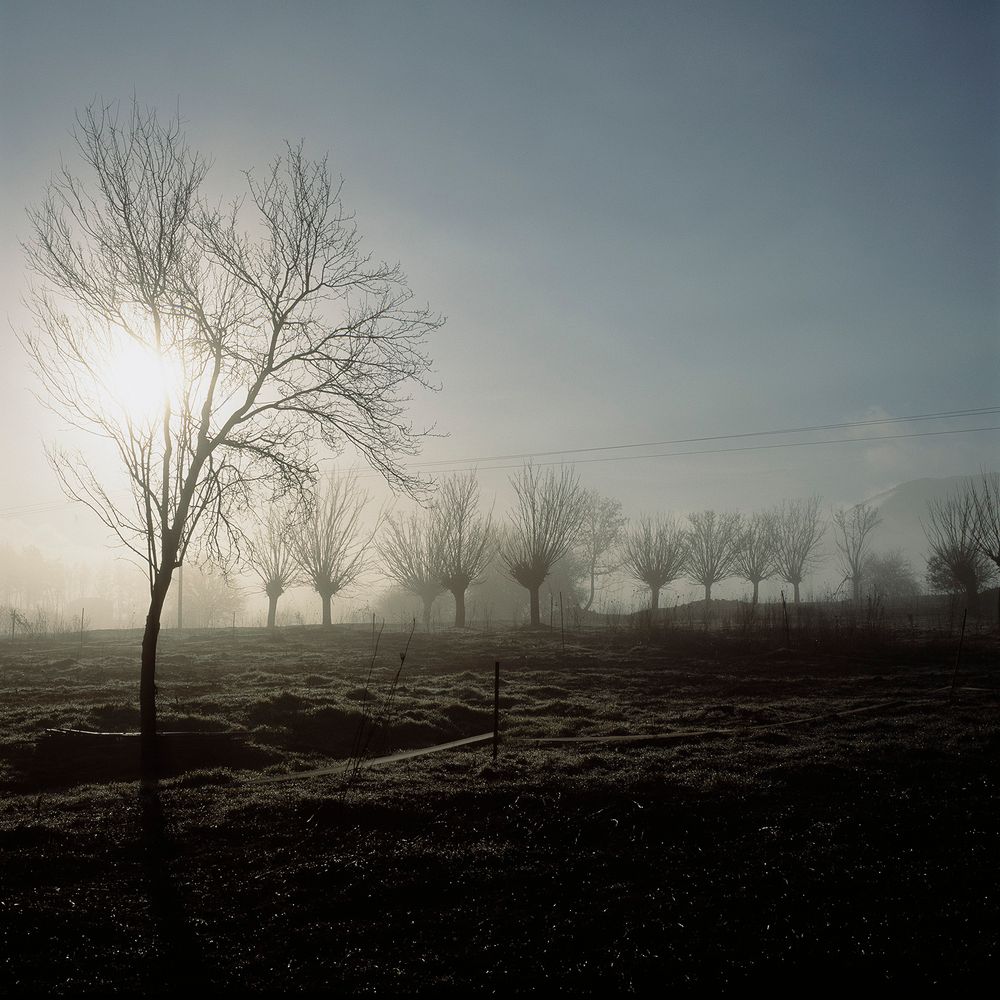 after the fires