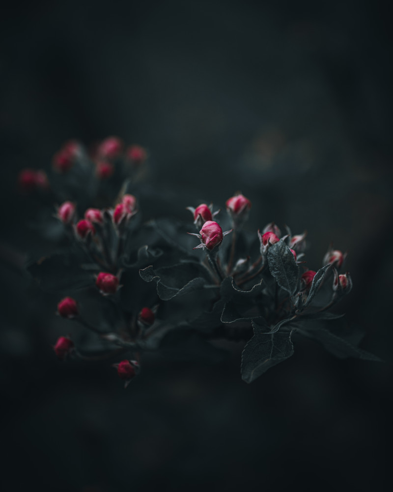 Beautiful hidden nature 