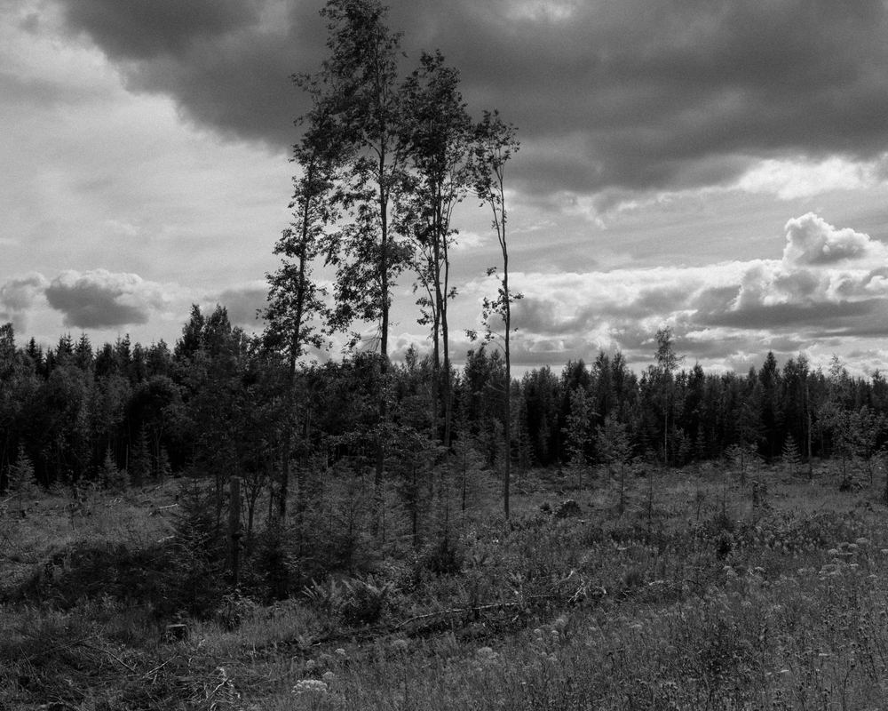 Roads To Nowhere