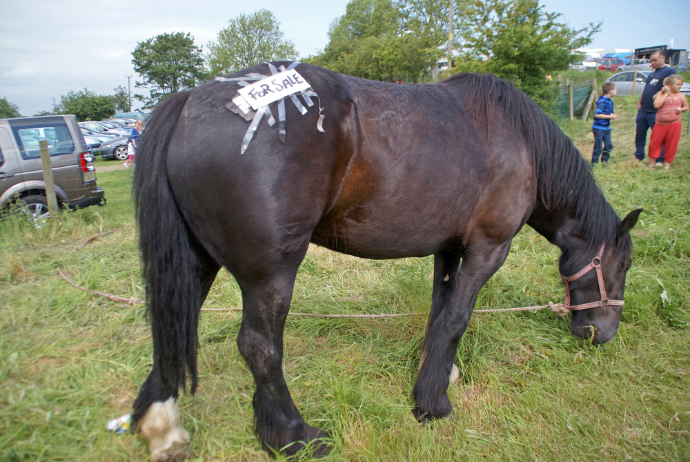 Appleby Fair, Cumbria, UK