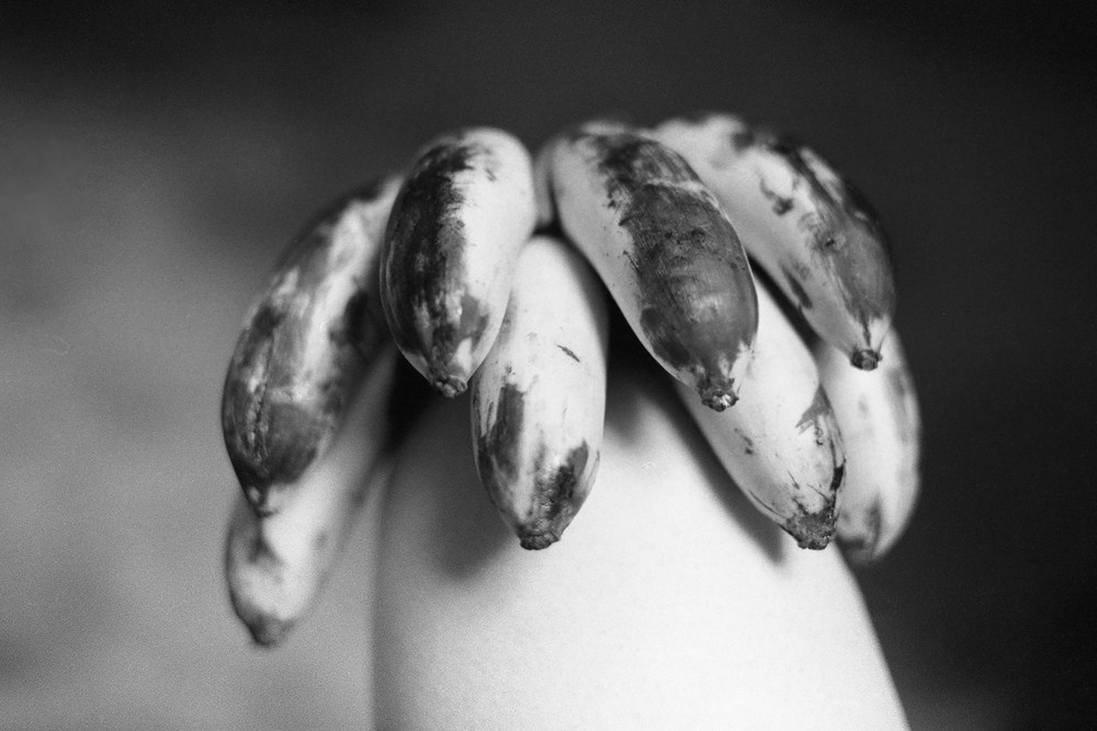 Objects of Desire and Contemplation of Mortality, Part 2