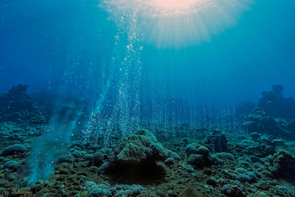 Underwater Volcanic Seeps (Papua New Guinea II)