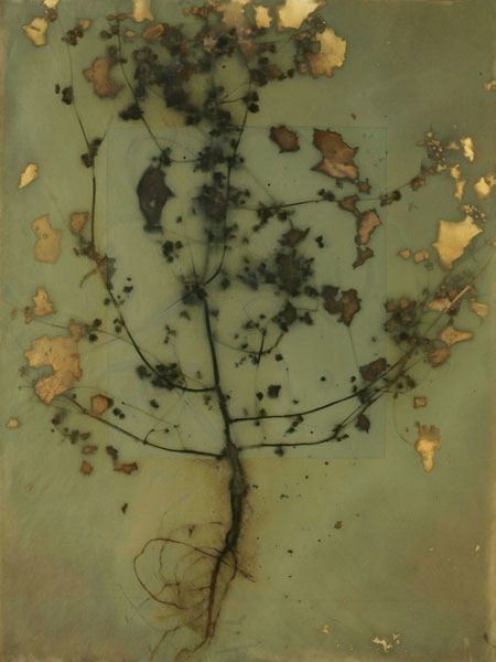 Earth Vegetation Series