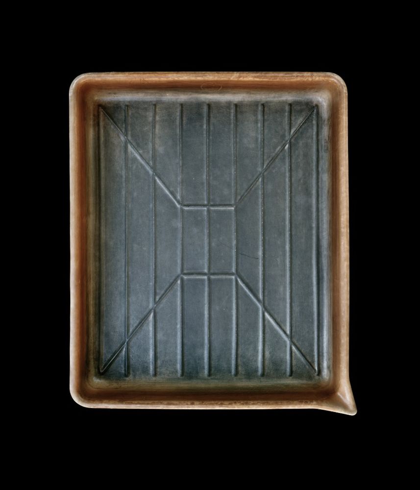 Developer Trays