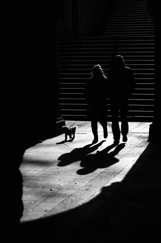 Daniel Christie Submission