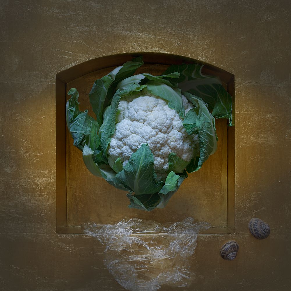 Evasione dall’involucro in microgravità