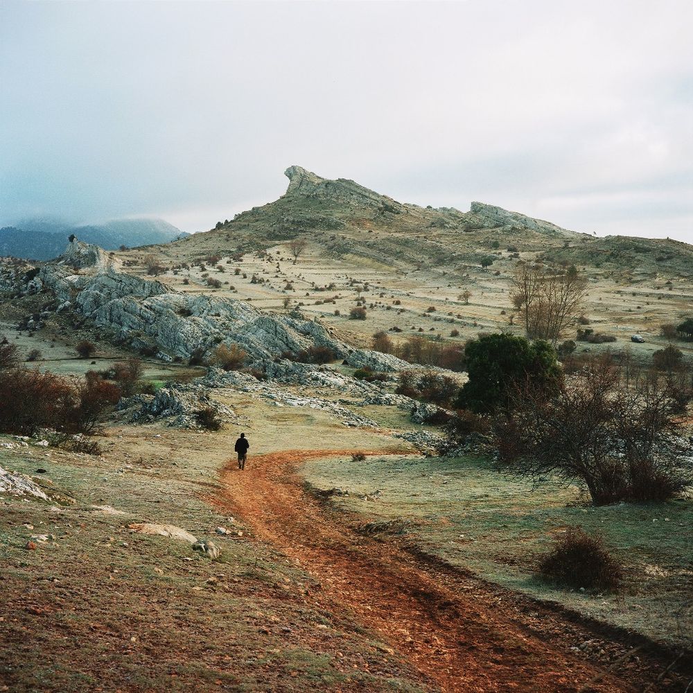 Scrublands Photographs and text by Antoine Bruy LensCulture
