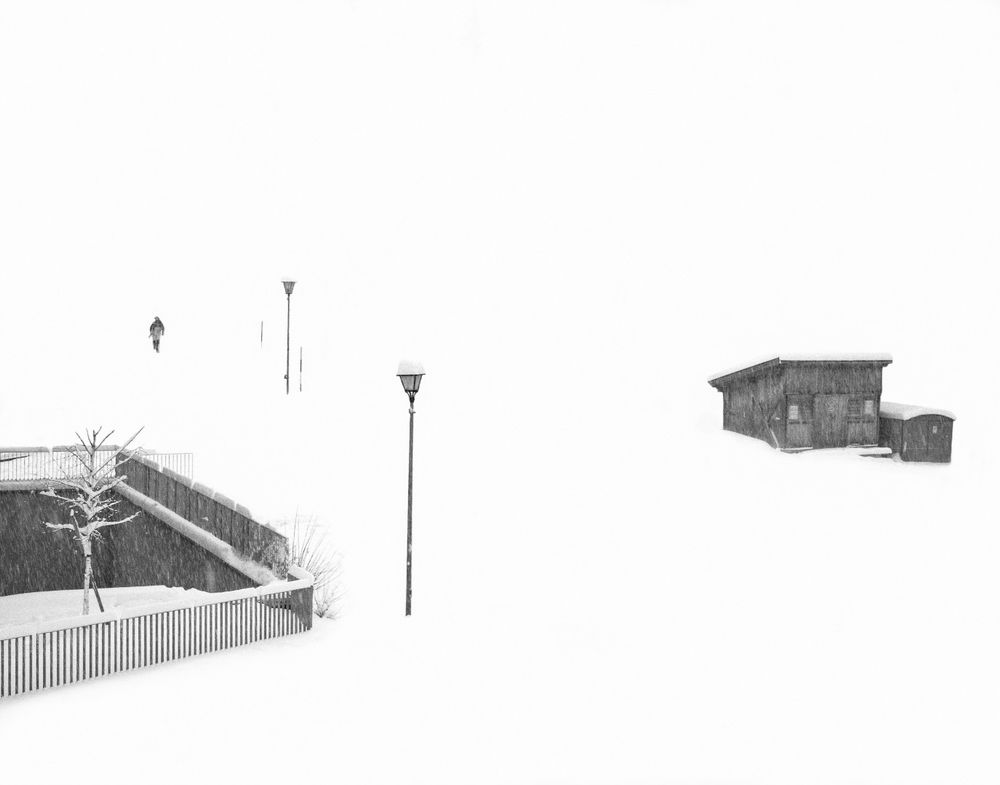 On the (Relative) Unimportance of the Subject: Landscape