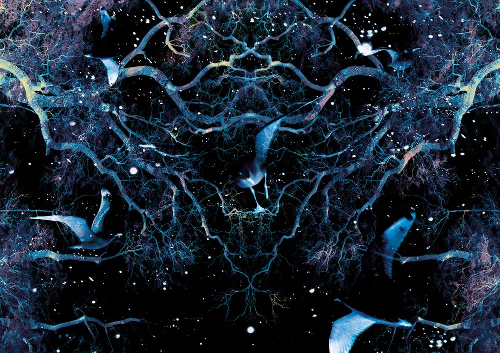 Yggdrasil the Cosmic Tree