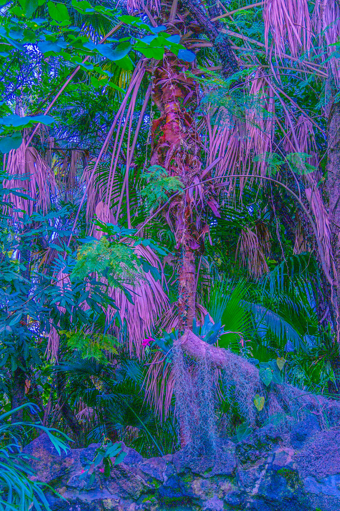 Plant Fictions