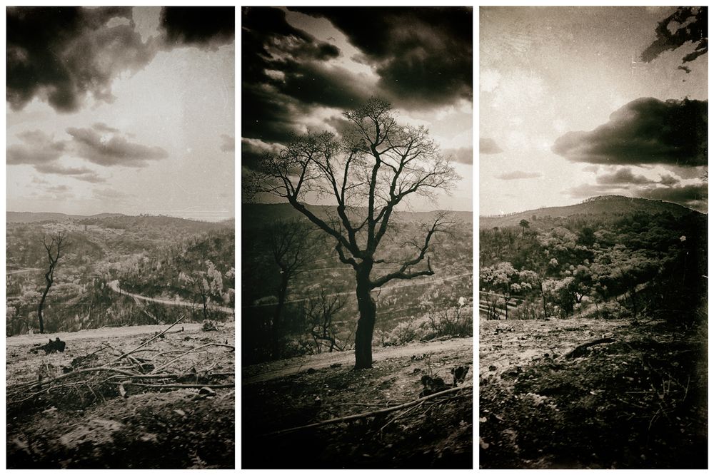 On the Nature of Daylight