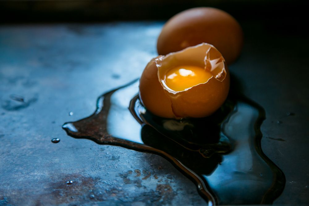 Portraits of Food