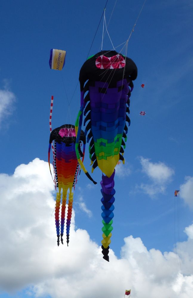 CREATURES OF THE WIND