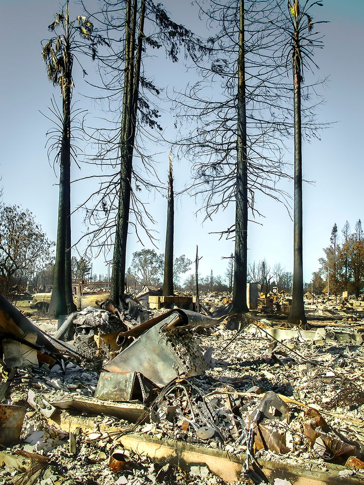 The North Bay Fires of 2017 and 2018 