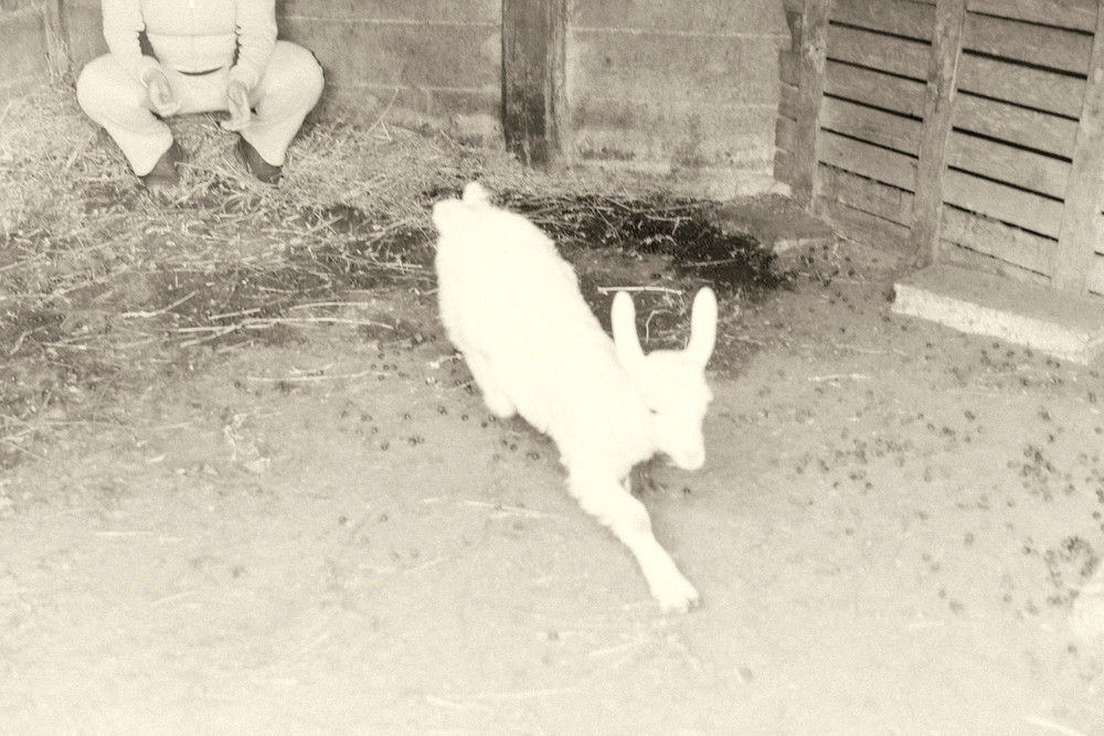 Finalmente posso andare © Cinzia Laliscia