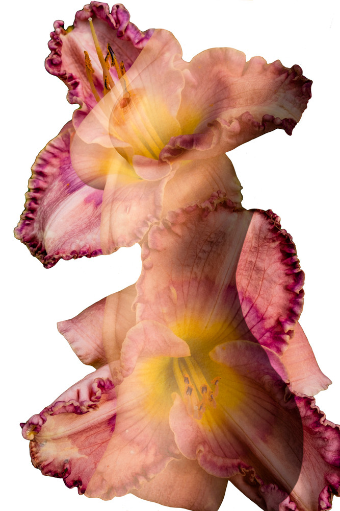 Assembled Images