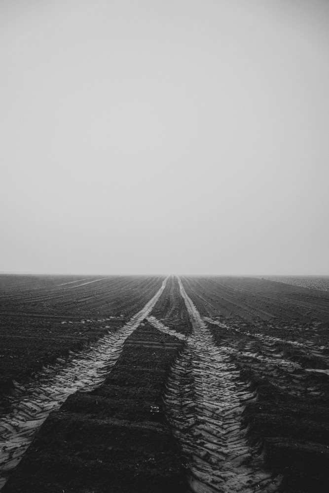 Waste Lands