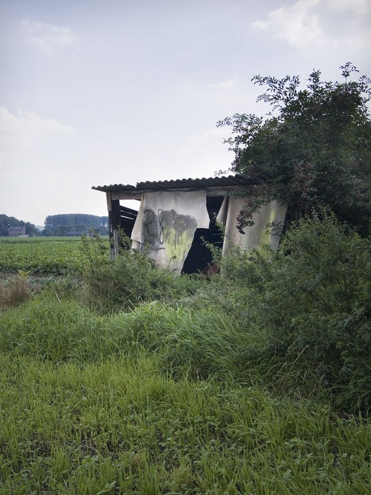 Dutch aimlesses or declined cottages