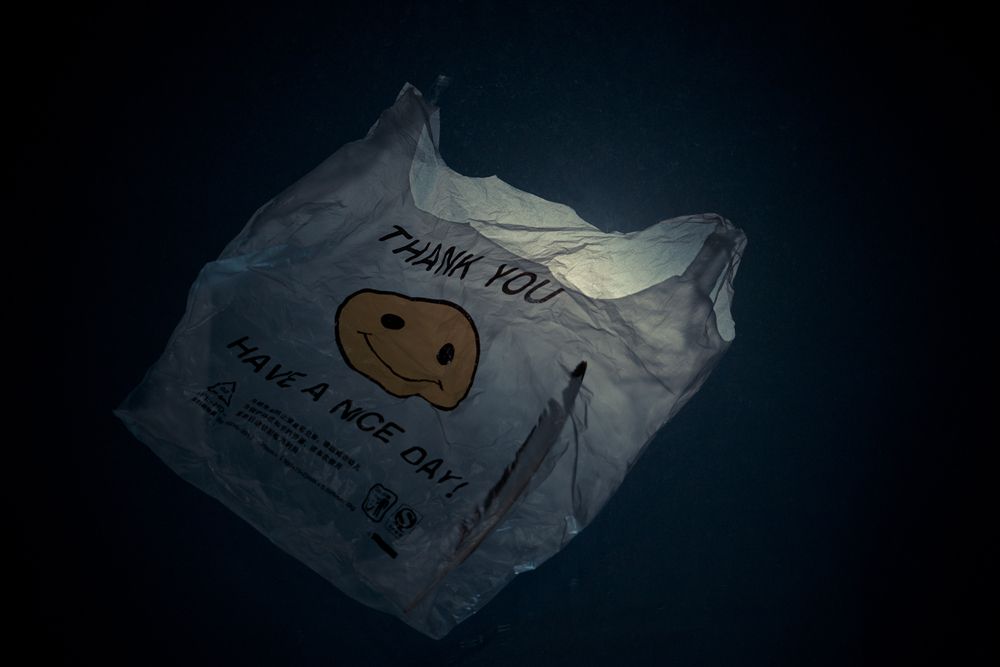 Haiku2019