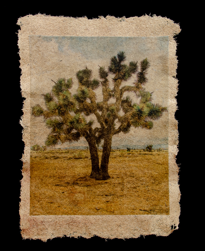 Endemic Treasures