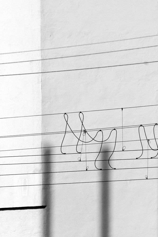 Architectonic Organism