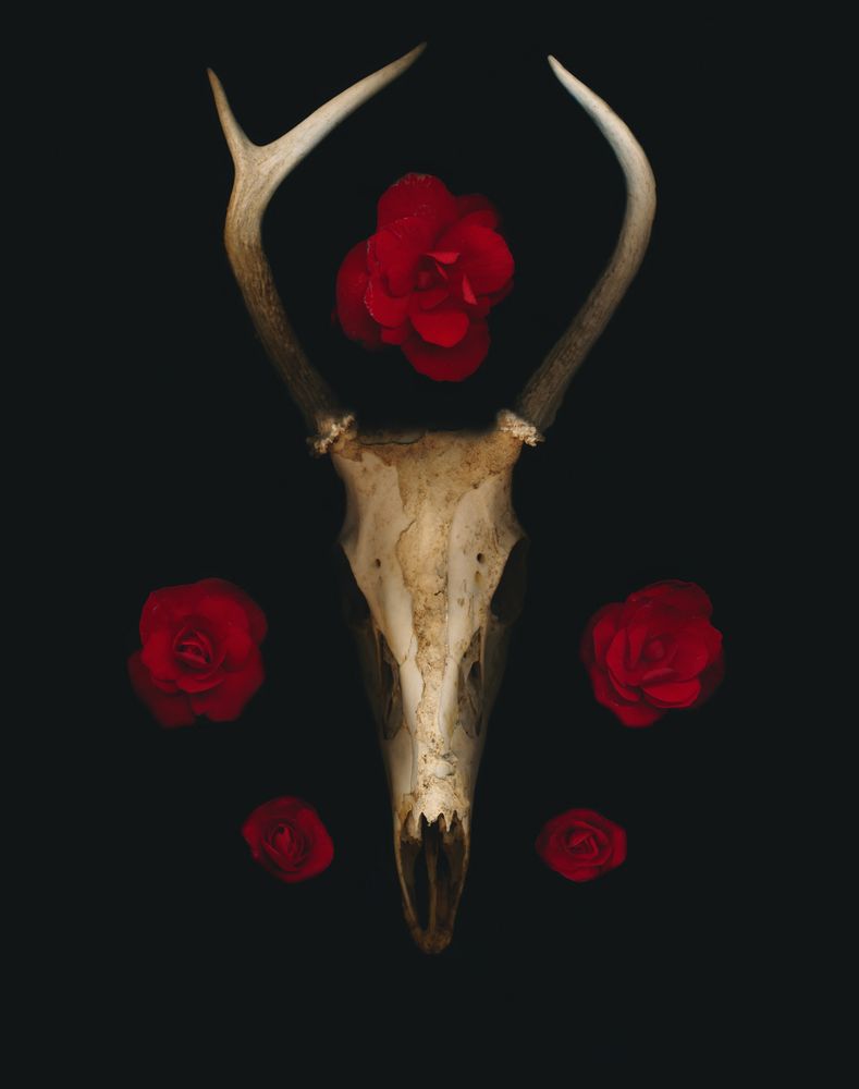 La Petite Mort 