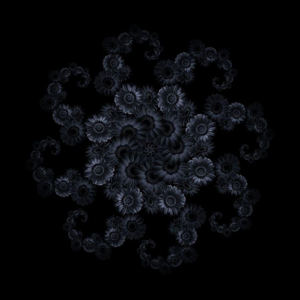 Fractals