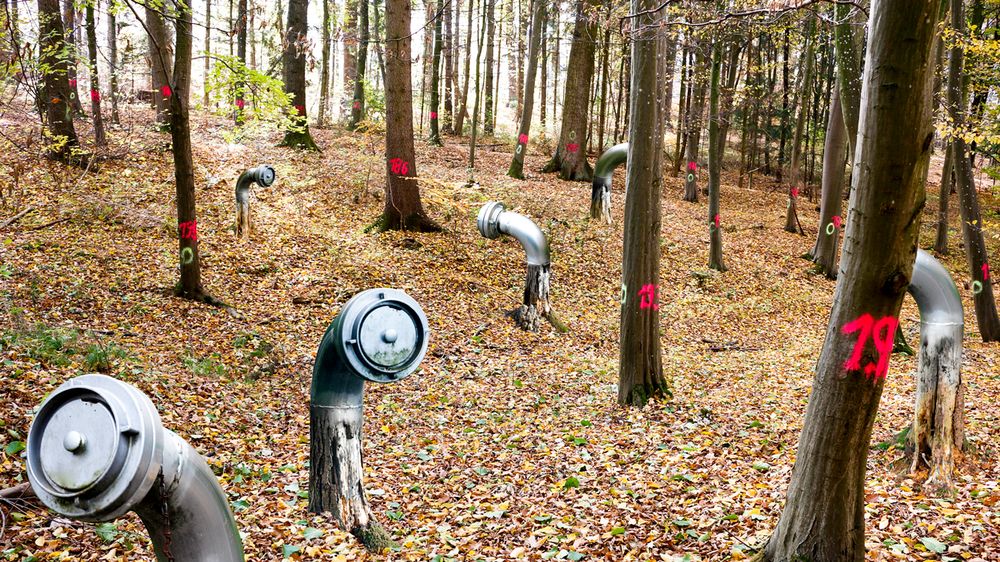 Environmental Transformations