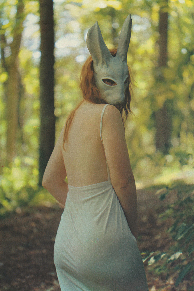 White Rabbit 