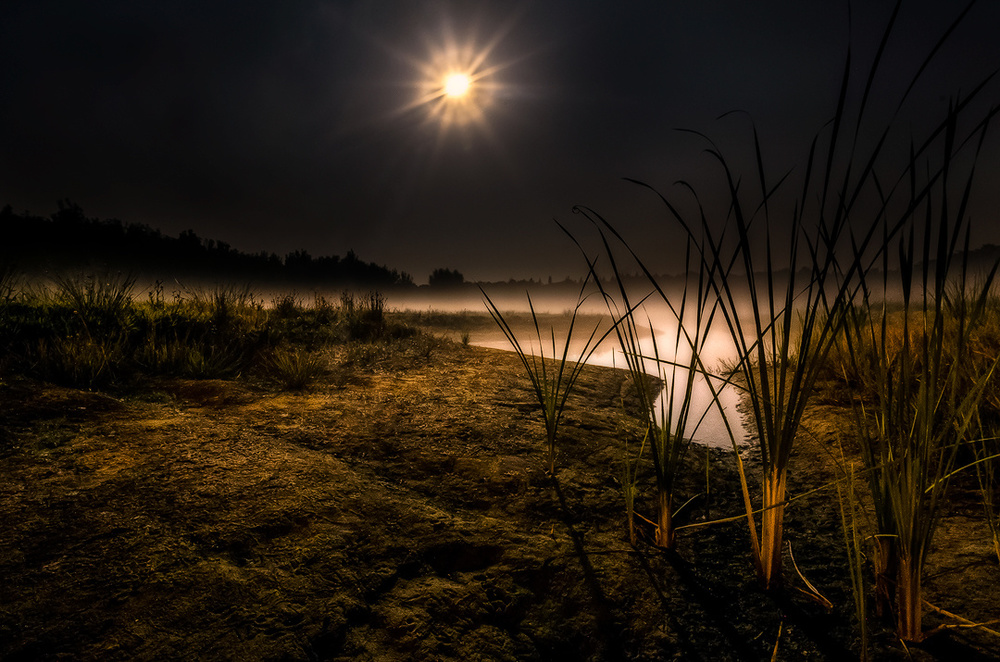 Magical moments in nature