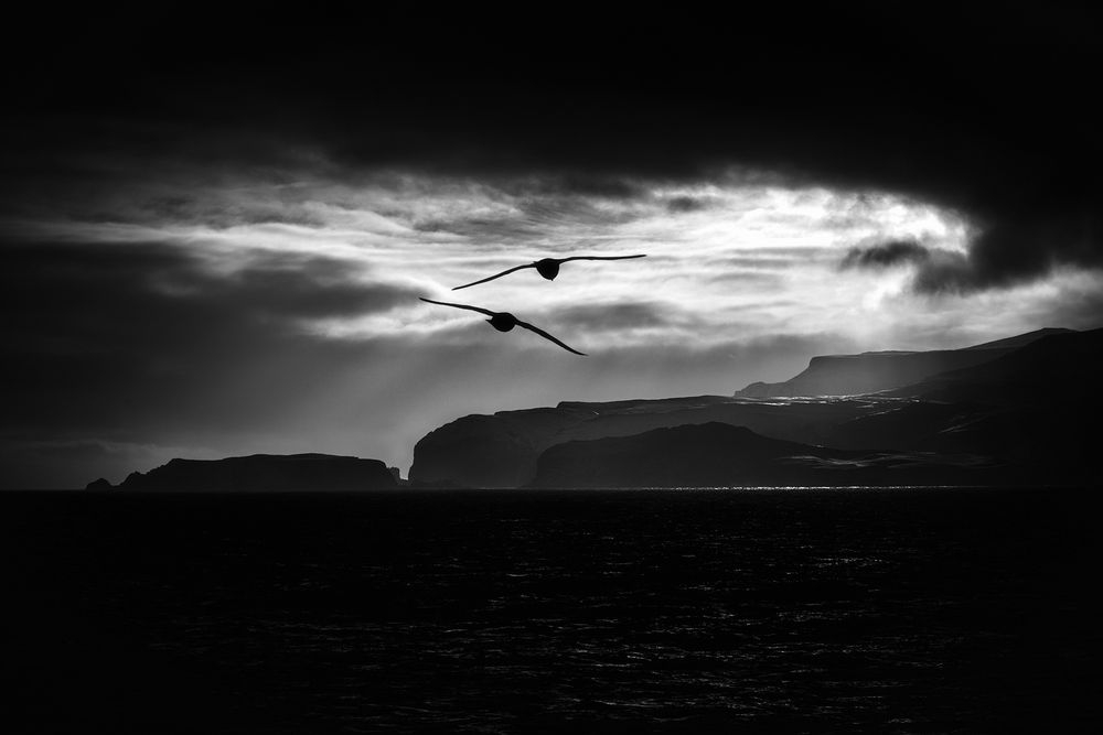 Bjørnøya-born