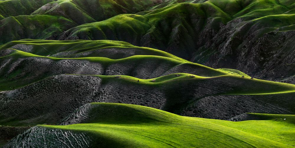 Grassland of human body curves