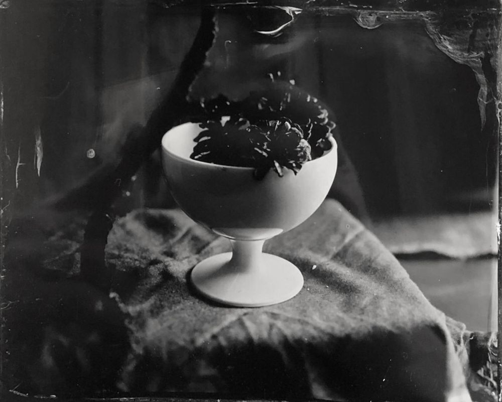 Wetplate Collodion