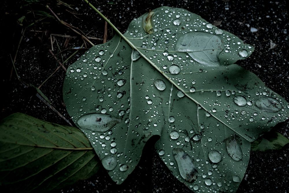 A wet road