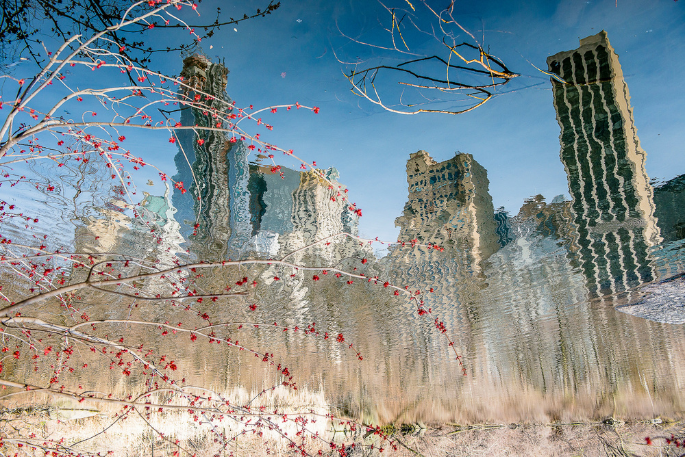 Traces of a parallel world