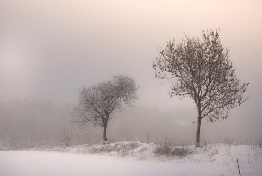 Landscape Colour
