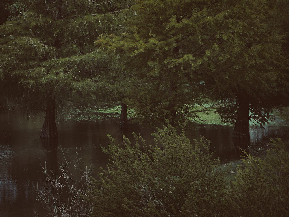 Into the marsh - Part II