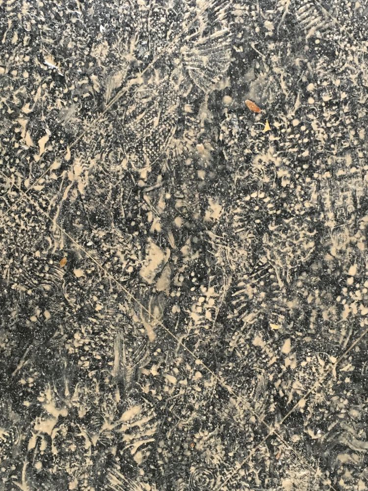 marks and (foot)prints