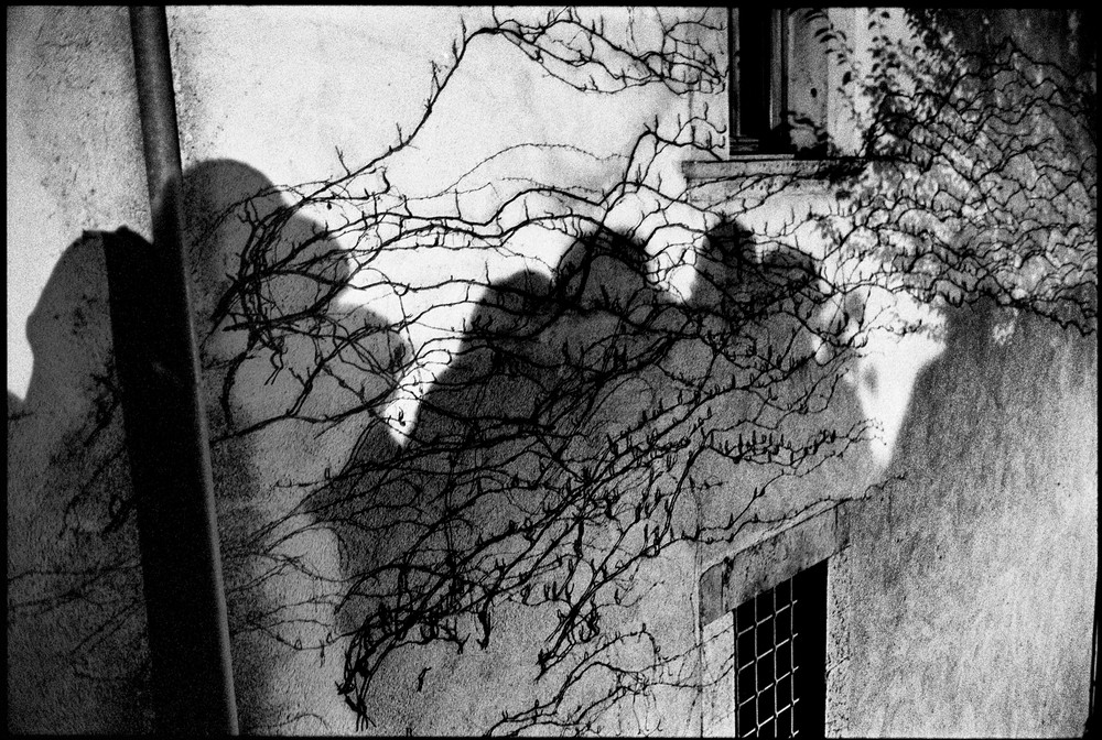 Treating a shadow as a substantial thing - a journey around consciousness and identity