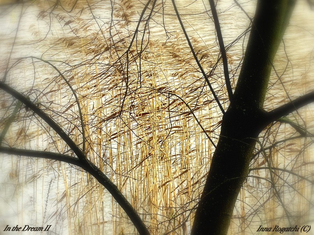MEMORY LANDSCAPES