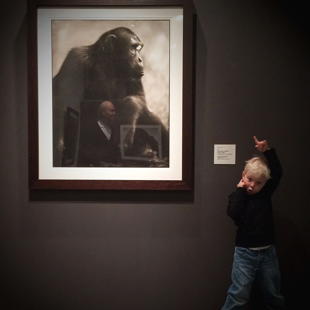 Portrait of Evolution