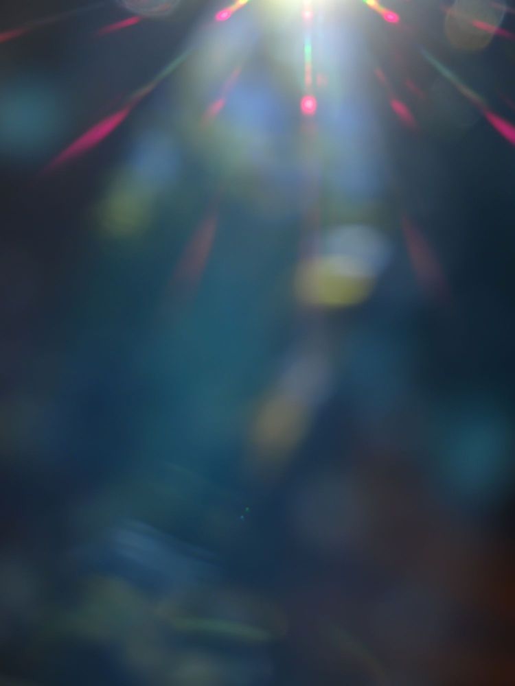 Revealing Light