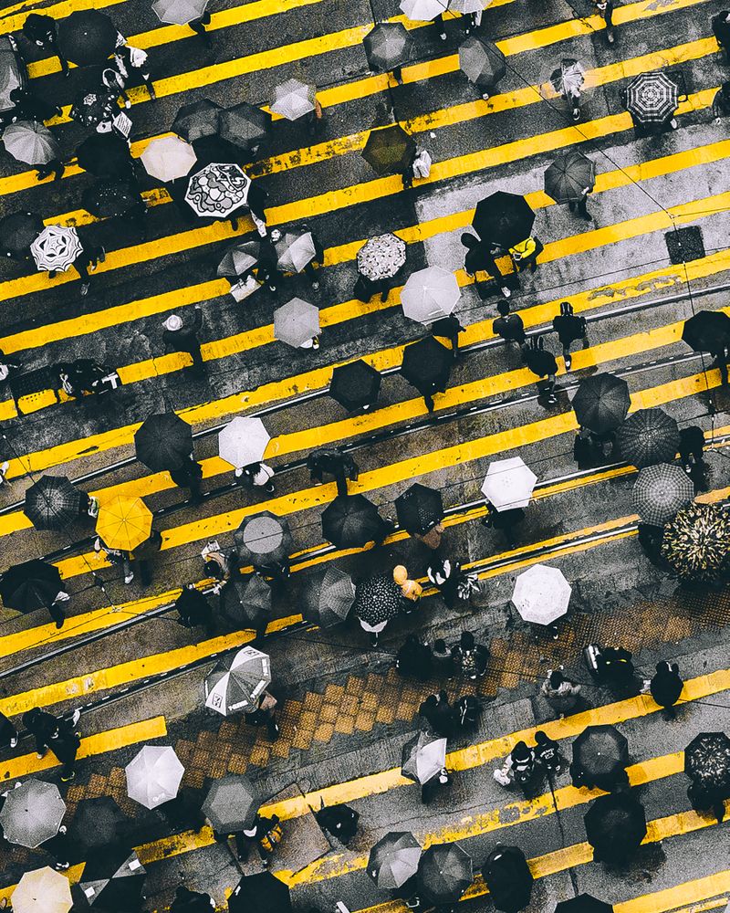The Umbrella Revolution