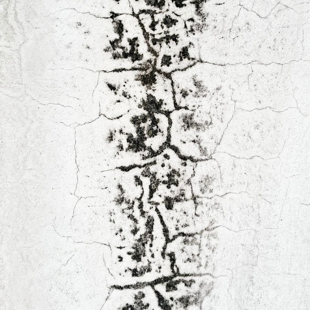 Abstract