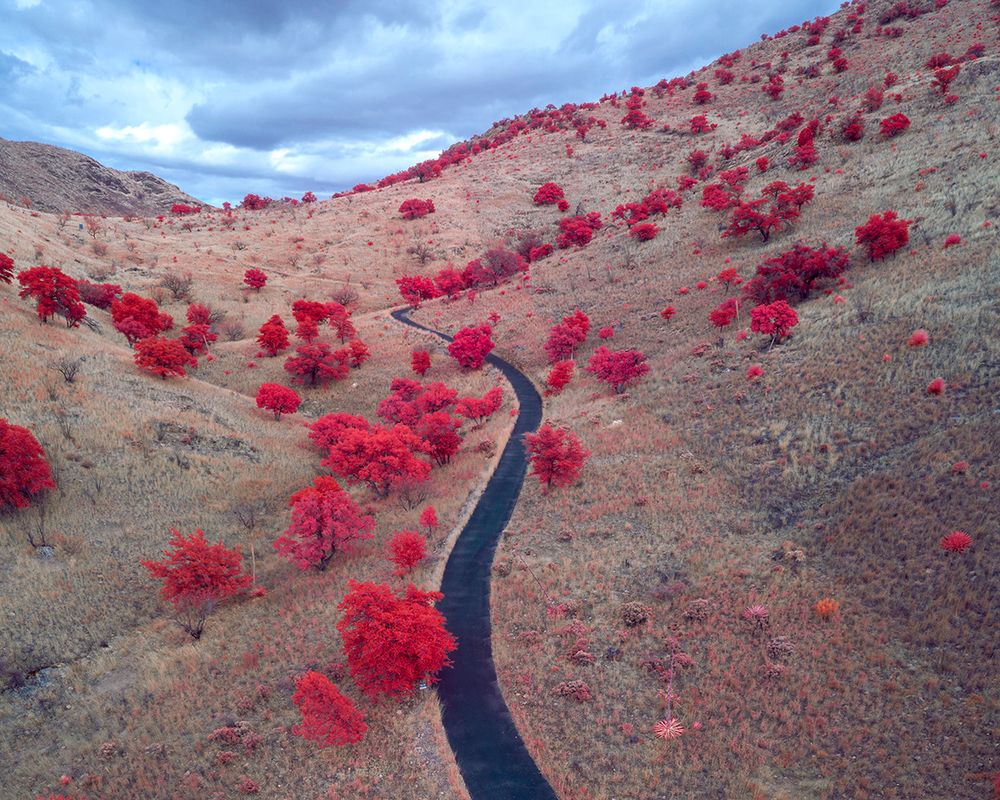 Dreamland?