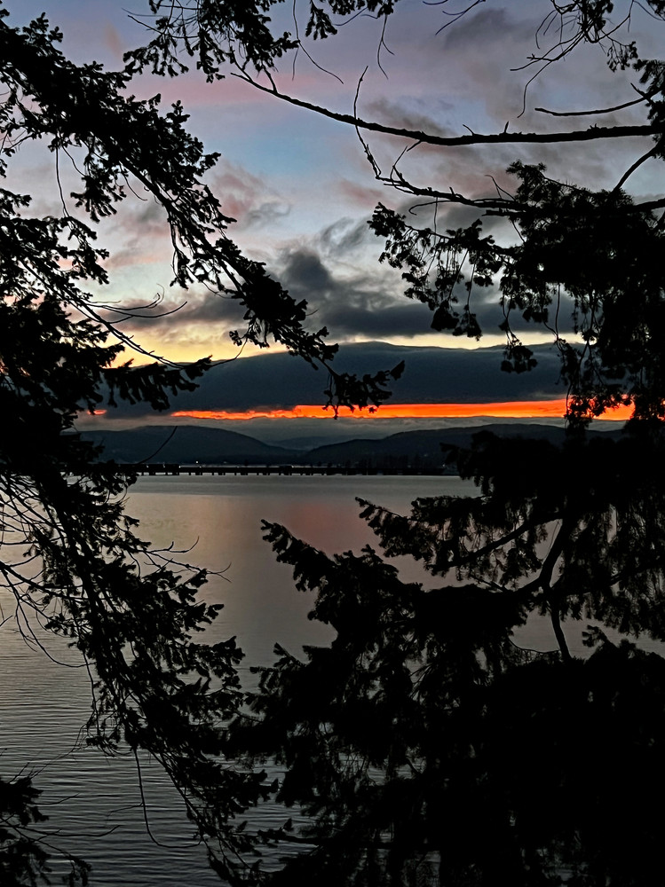 View Through Nature's Heart