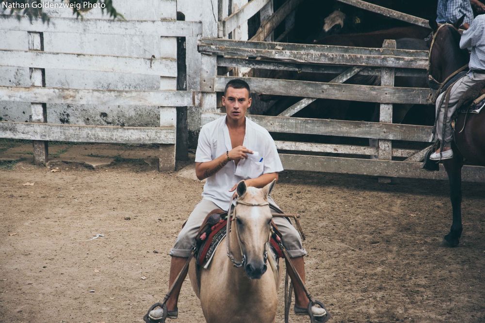 Liniers Cattle Market Buenos Aires